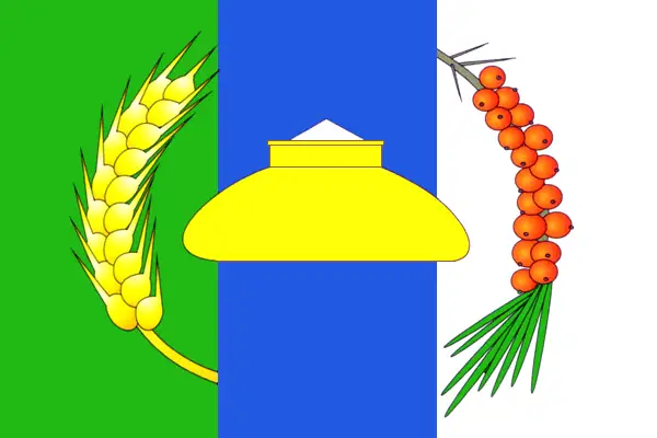 Флаг: Новосибирский район